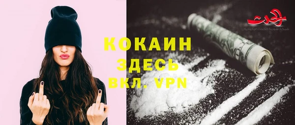 альфа пвп Елизово