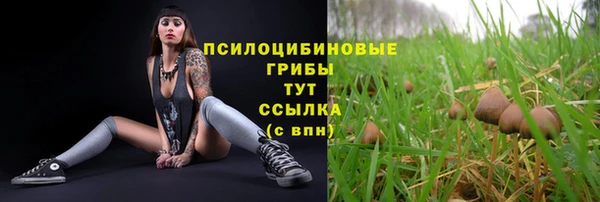 скорость Ельня