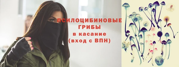 альфа пвп Елизово