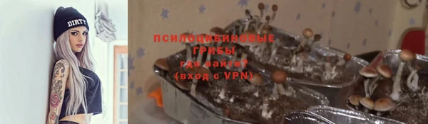 скорость Ельня