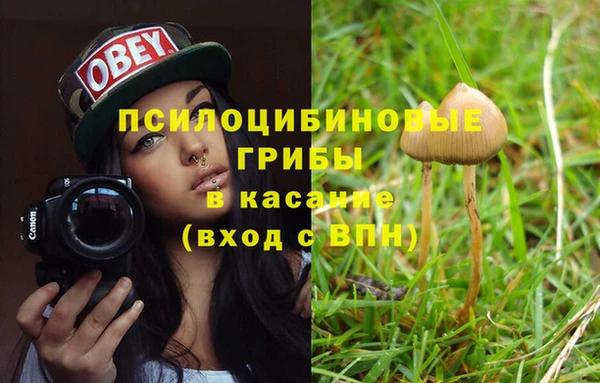 скорость Ельня