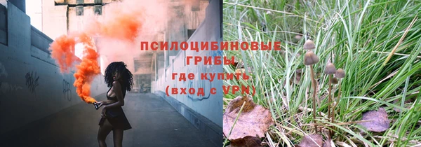 ешки Елабуга