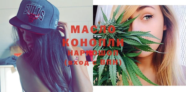 скорость Ельня
