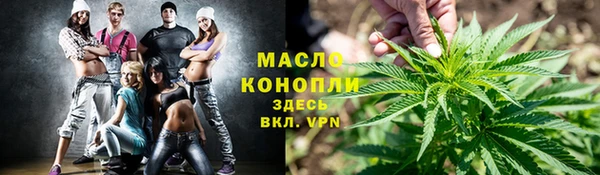 скорость Ельня