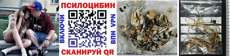 Купить закладки  Белая Калитва  Псилоцибиновые грибы Cubensis 